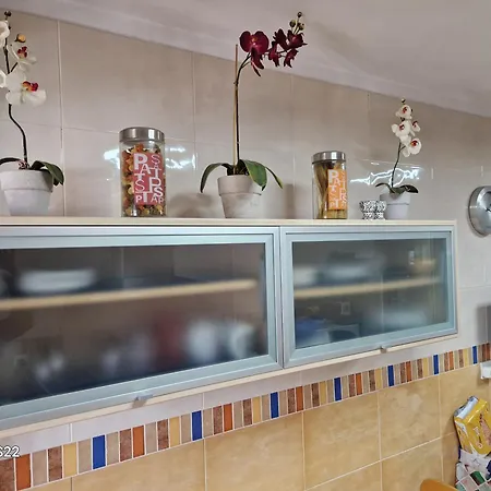 Apartman The Salamadras